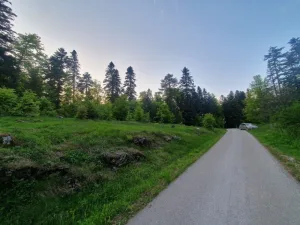 Slika 8