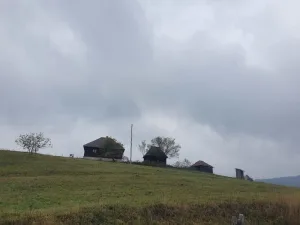 Slika 6