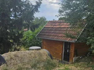 Slika 7