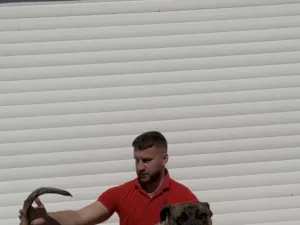 Slika 1