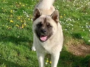 Slika 3