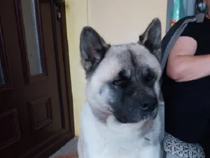 Slika 7