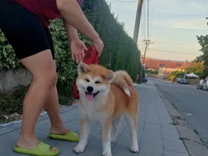 Slika 3