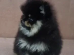 Slika 3
