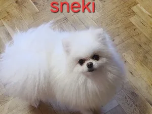 Slika 2