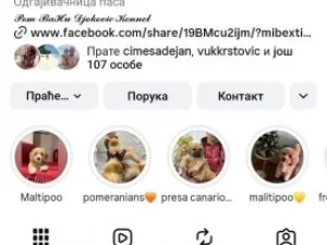Slika 6