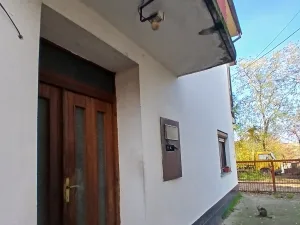 Slika 1