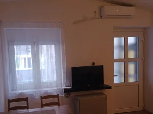 Slika 9