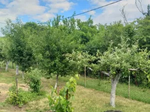 Slika 6