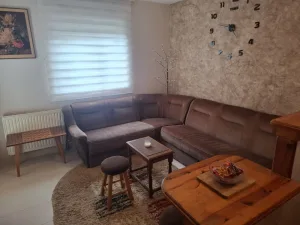 Slika 1
