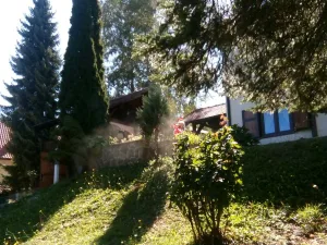 Slika 1