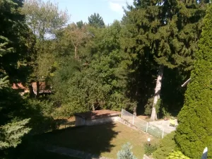Slika 6