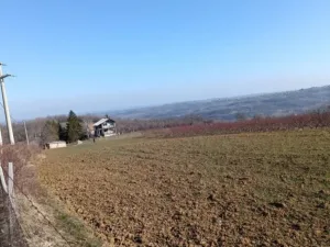 Slika 6