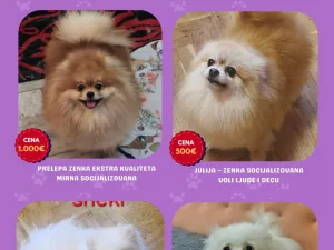 Slika 1