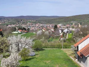 Slika 1
