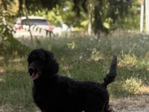 Slika 3