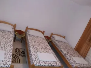 Slika 9