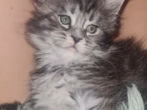 Slika 3