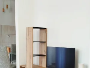 Slika 1