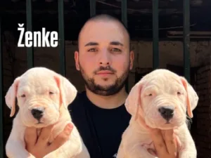 Slika 2