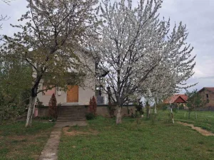 Slika 1
