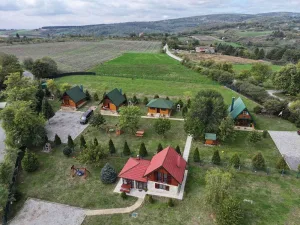 Slika 4