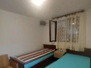 Slika 1