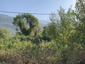 Slika 1