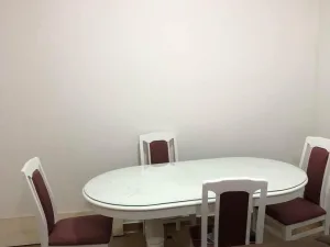 Slika 1
