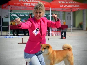 Slika 6