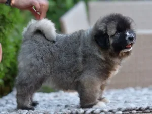 Slika 3