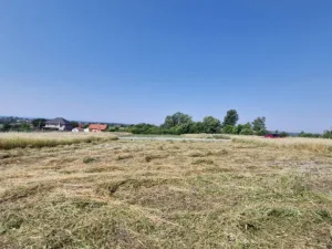 Slika 7