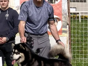 Slika 8