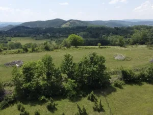 Slika 1