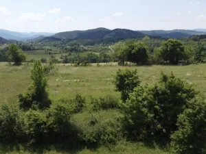 Slika 5