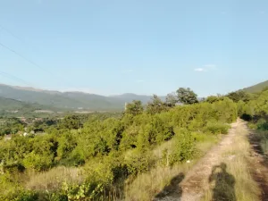 Slika 2