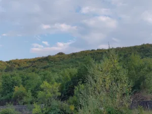 Slika 7