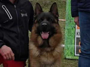 Slika 6