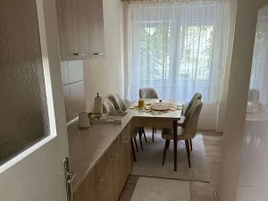 Slika 1