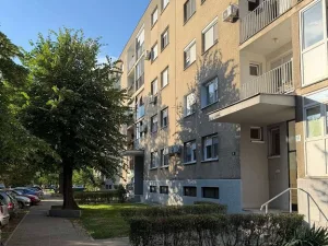 Slika 8