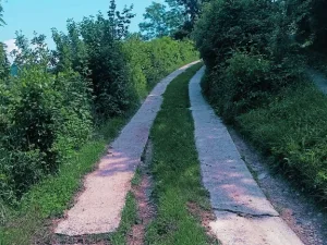 Slika 2