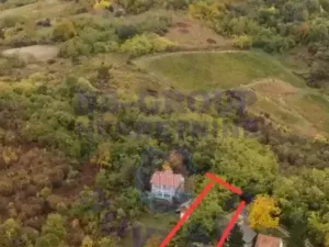 Slika 1