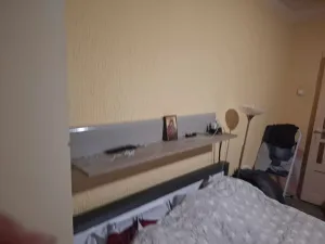 Slika 1