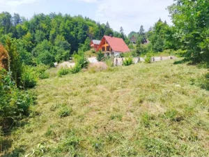Slika 3