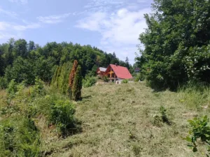 Slika 5