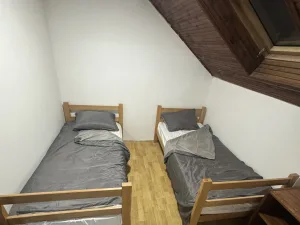 Slika 9