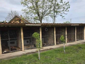 Slika 4