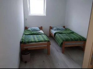Slika 1