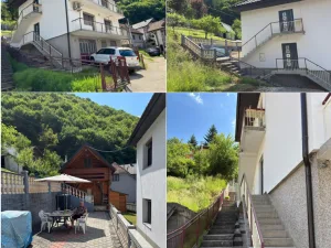 Slika 1