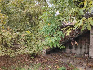 Slika 9